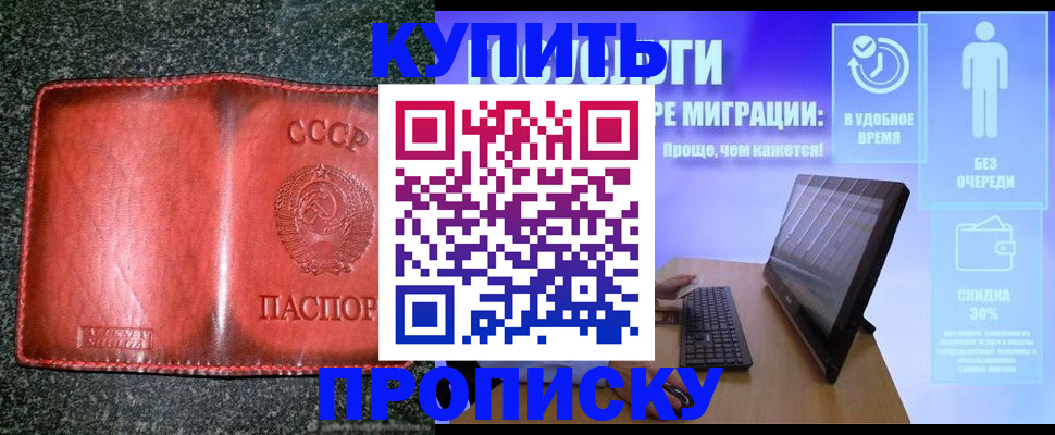 найти адрес прописки в Бородино